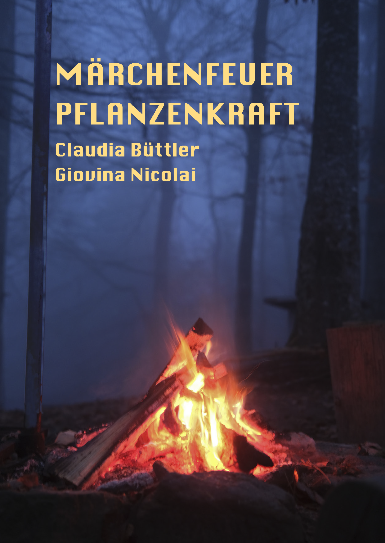 Bild zum Kurs Märchenfeuer und Pflanzenkraft
