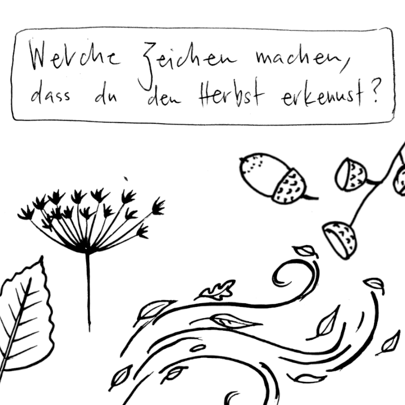 Bild zum Archiv Naturtagebuch
