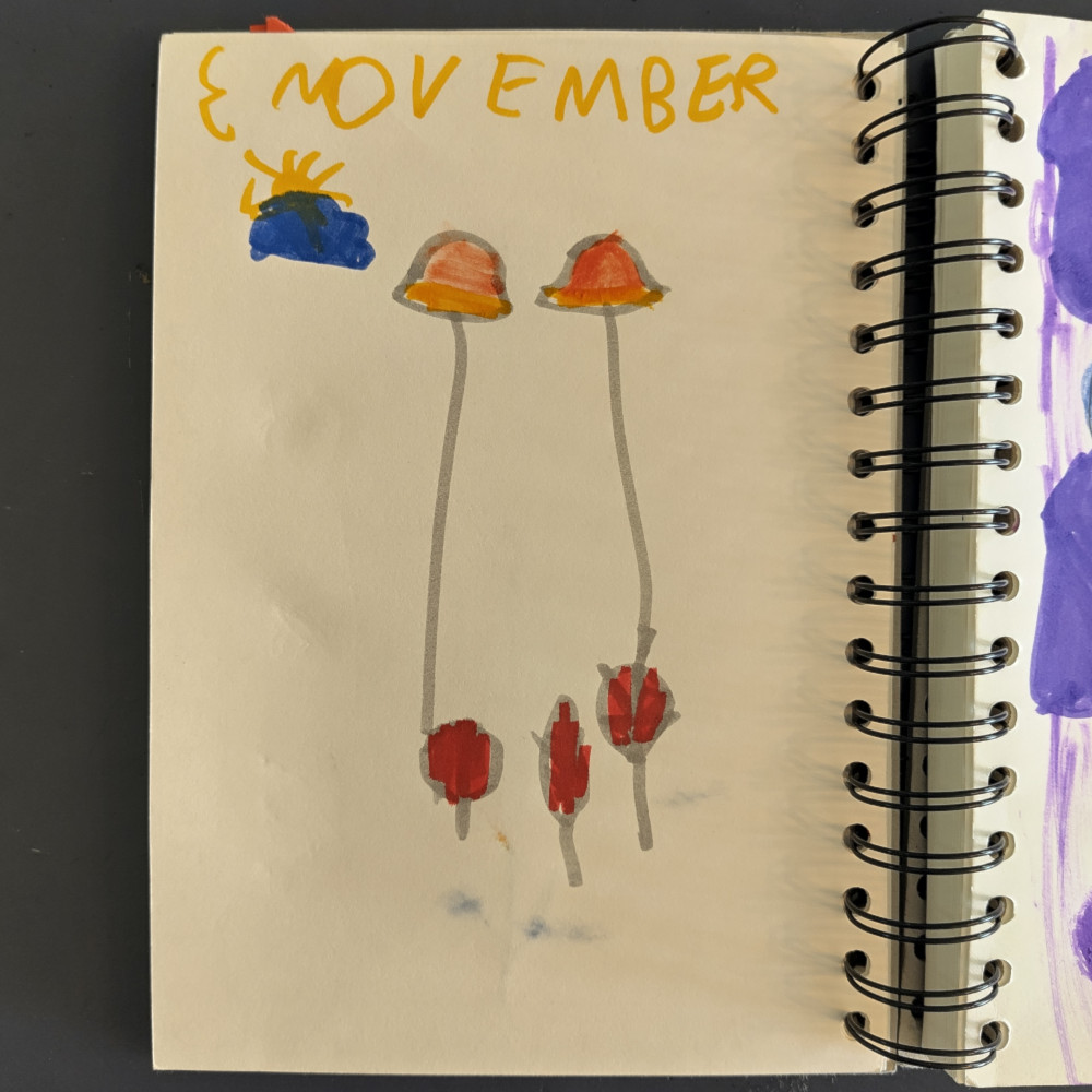 Bild zum Archiv Naturtagebuch