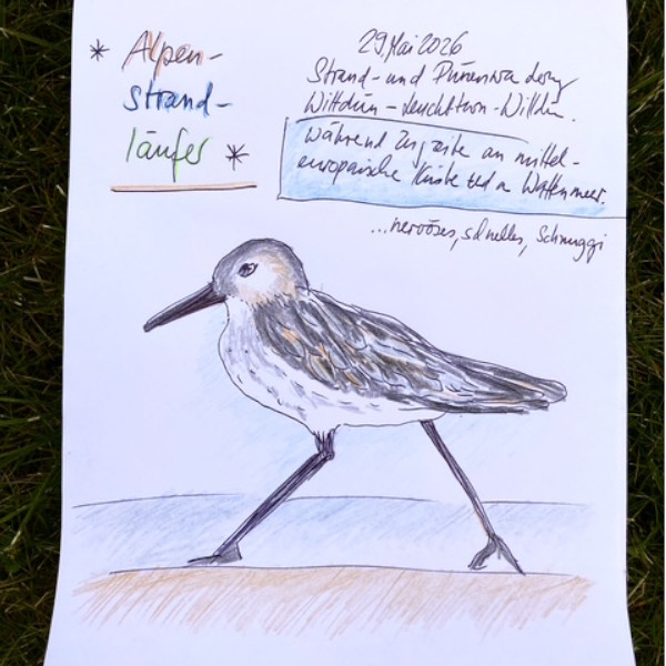 Bild zum Archiv Naturtagebuch
