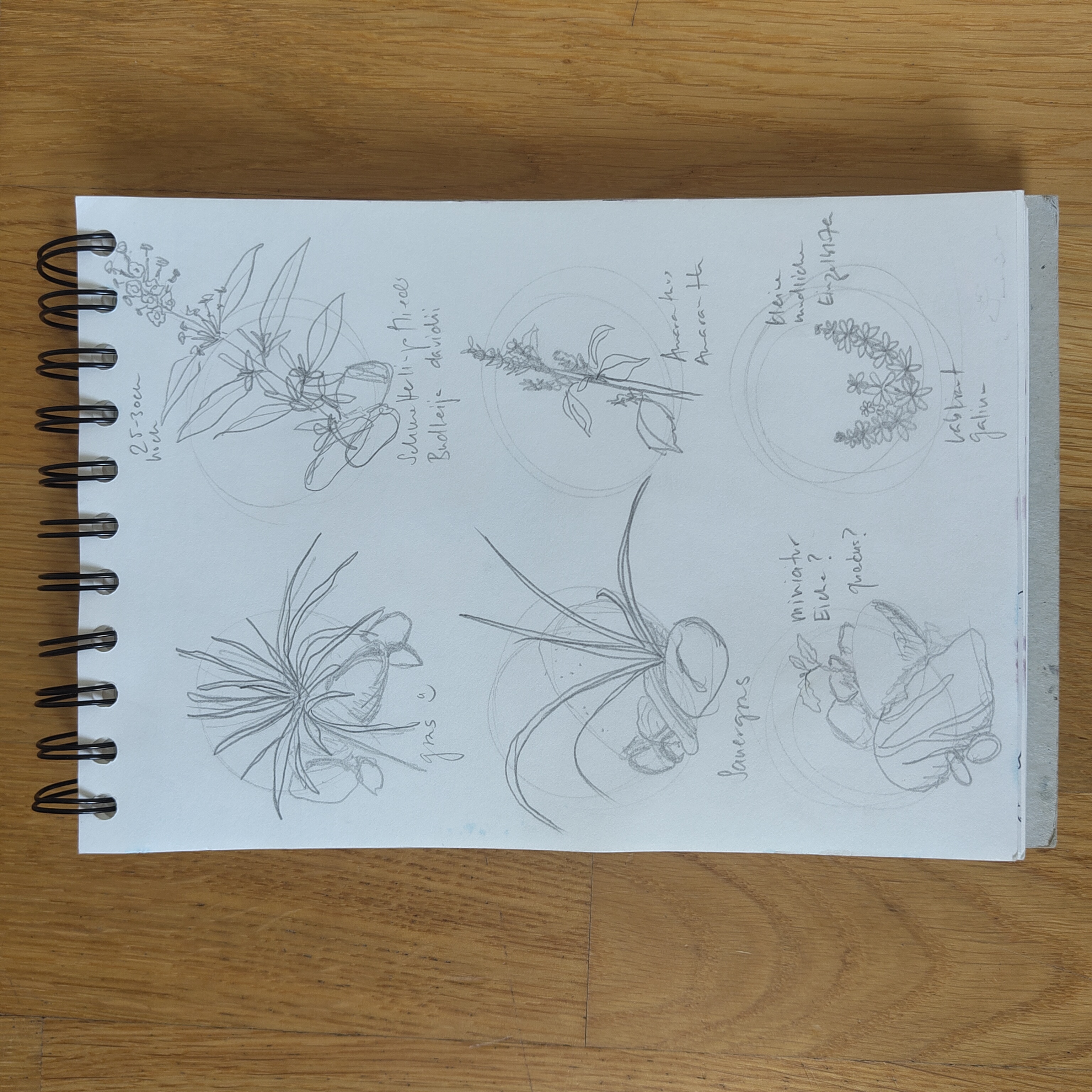 Bild zum Archiv Naturtagebuch